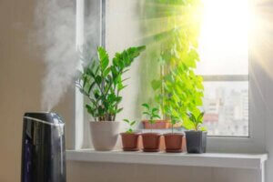 Top Benefits of Humidifiers