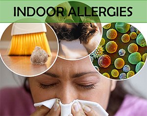 Removing Indoor Allergens