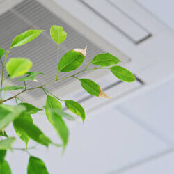 How to Improve Indoor Air Quality in Springtime